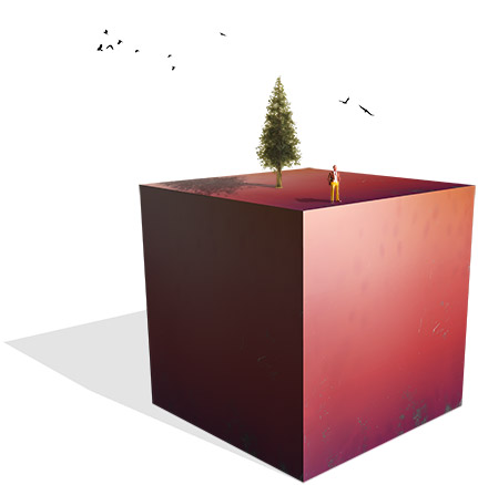 About Box Image